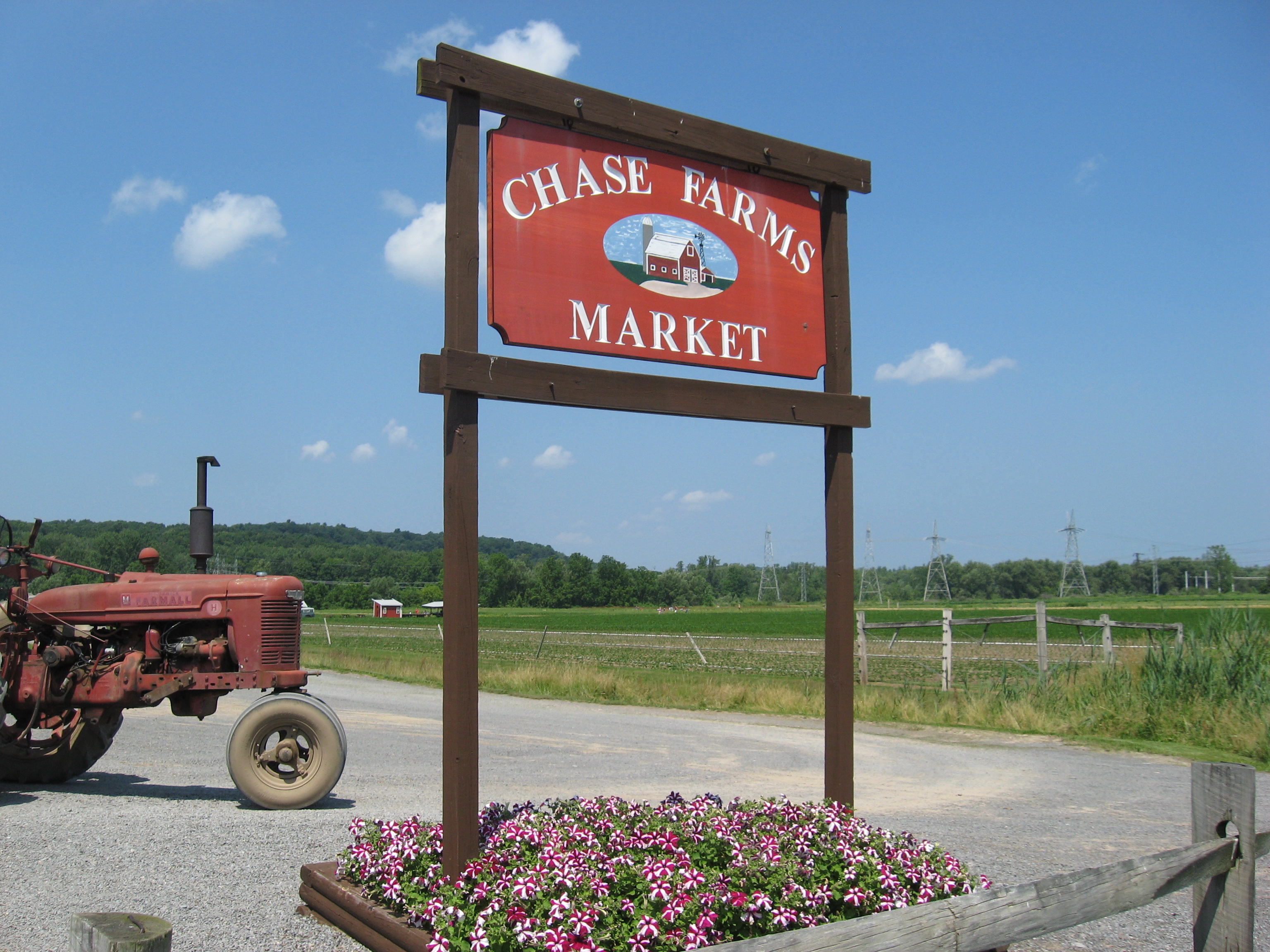 Welcome To Chase Farms!